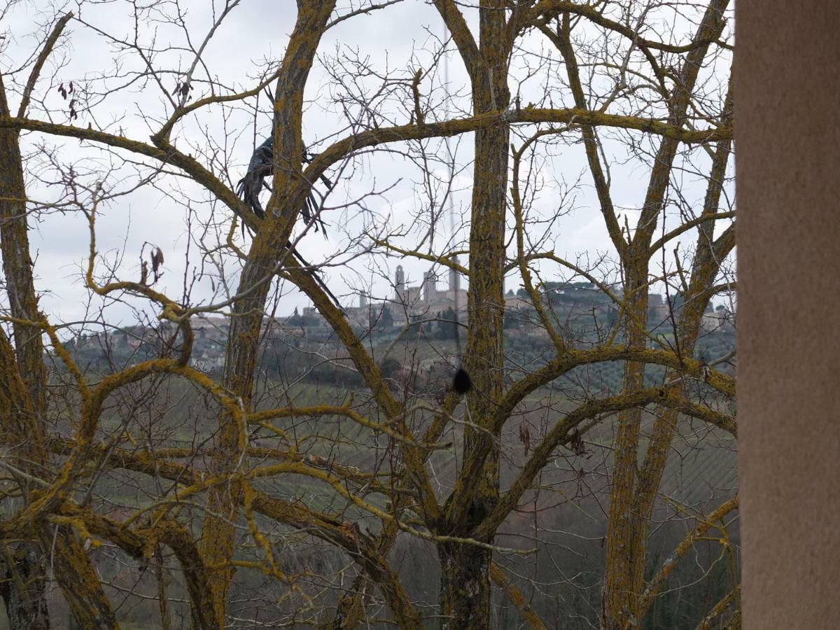 Uliveta San Gimignano Exterior foto